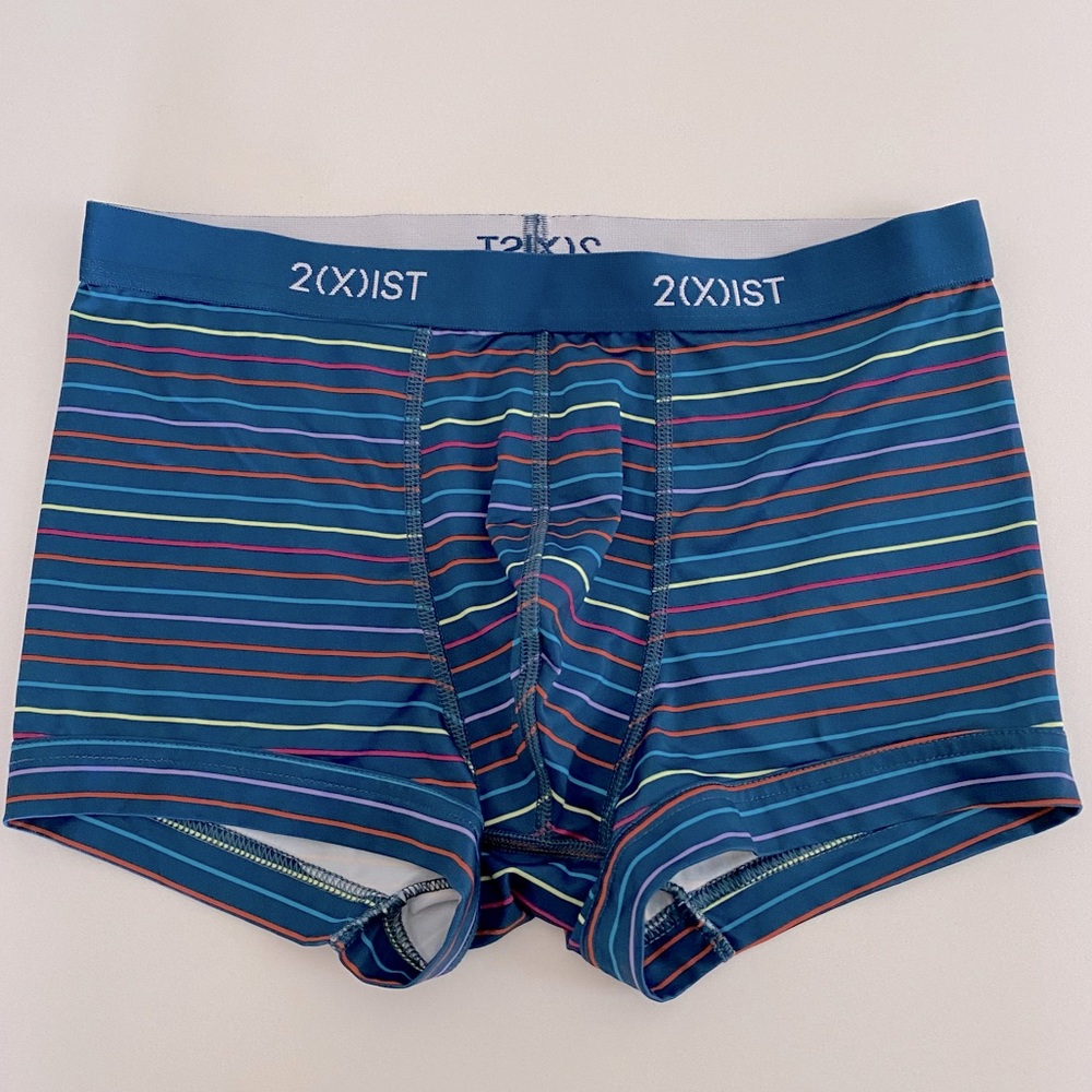 2xist Trunk in Blue Multi-Stripe